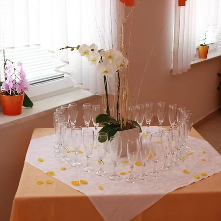 Guest house Letalisce 3*