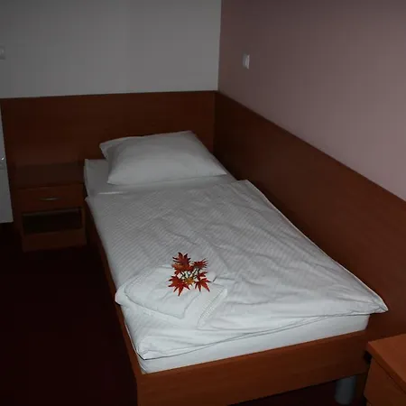 Guest house Letalisce 3*