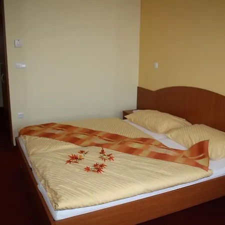 Guest house Letalisce