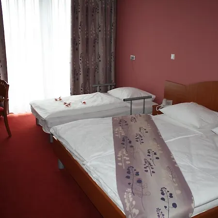 Guest house Letalisce 3*