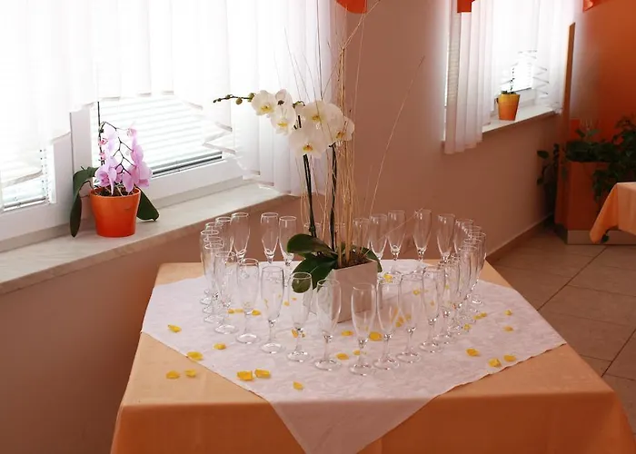 Guest house Letalisce 3*