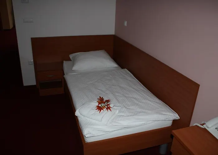 Guest house Letalisce 3*