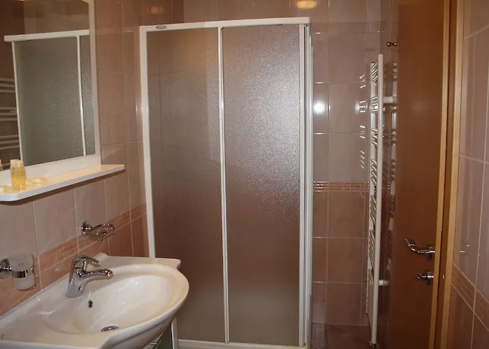 Guest house Letalisce 3*