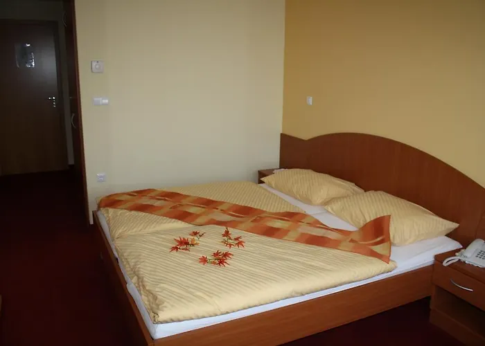 Guest house Letalisce