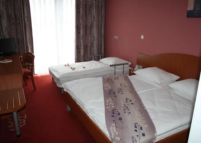 Guest house Letalisce 3*