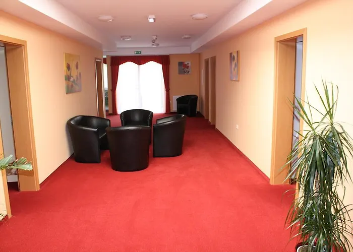 Guest house Letalisce